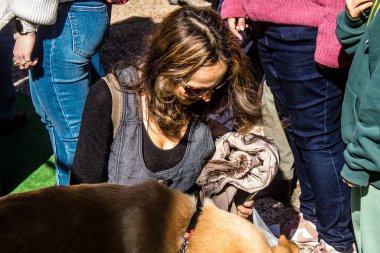 Tel Aviv, İsrail 2 Şubat 2024 SOS Hayvan Derneği 'nden gençler. Otage Meydanı' nda terk edilmiş köpeklerin yok edilmiş kibbutzlardan evlat edinilmesine adanmış bir gün düzenliyorlar.