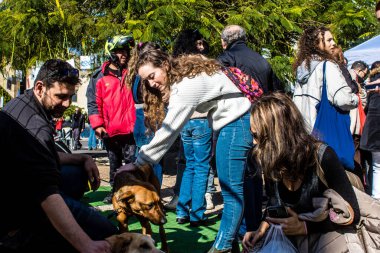 Tel Aviv, İsrail 2 Şubat 2024 SOS Hayvan Derneği 'nden gençler. Otage Meydanı' nda terk edilmiş köpeklerin yok edilmiş kibbutzlardan evlat edinilmesine adanmış bir gün düzenliyorlar.