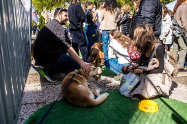 Tel Aviv, İsrail 2 Şubat 2024 SOS Hayvan Derneği 'nden gençler. Otage Meydanı' nda terk edilmiş köpeklerin yok edilmiş kibbutzlardan evlat edinilmesine adanmış bir gün düzenliyorlar.