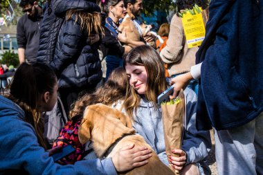 Tel Aviv, İsrail 2 Şubat 2024 SOS Hayvan Derneği 'nden gençler. Otage Meydanı' nda terk edilmiş köpeklerin yok edilmiş kibbutzlardan evlat edinilmesine adanmış bir gün düzenliyorlar.