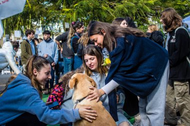 Tel Aviv, İsrail 2 Şubat 2024 SOS Hayvan Derneği 'nden gençler. Otage Meydanı' nda terk edilmiş köpeklerin yok edilmiş kibbutzlardan evlat edinilmesine adanmış bir gün düzenliyorlar.