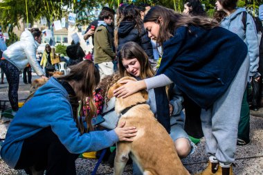Tel Aviv, İsrail 2 Şubat 2024 SOS Hayvan Derneği 'nden gençler. Otage Meydanı' nda terk edilmiş köpeklerin yok edilmiş kibbutzlardan evlat edinilmesine adanmış bir gün düzenliyorlar.