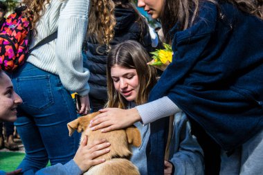 Tel Aviv, İsrail 2 Şubat 2024 SOS Hayvan Derneği 'nden gençler. Otage Meydanı' nda terk edilmiş köpeklerin yok edilmiş kibbutzlardan evlat edinilmesine adanmış bir gün düzenliyorlar.