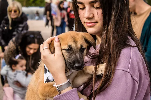 Tel Aviv, İsrail 2 Şubat 2024 SOS Hayvan Derneği 'nden yeni bir köpek sahibi yok edilmiş kibbutzlardan terk edilmiş köpeklerin evlat edinilmesi için Place Otage' da bir gün düzenliyor.