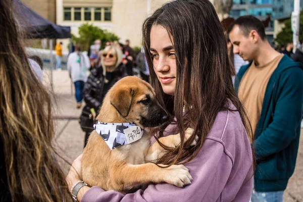 Tel Aviv, İsrail 2 Şubat 2024 SOS Hayvan Derneği 'nden yeni bir köpek sahibi yok edilmiş kibbutzlardan terk edilmiş köpeklerin evlat edinilmesi için Place Otage' da bir gün düzenliyor.