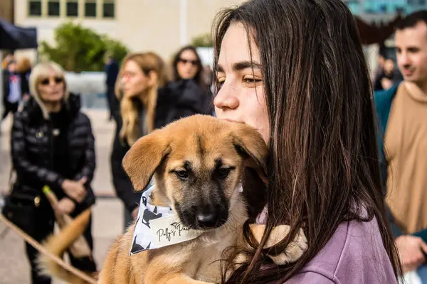 Tel Aviv, İsrail 2 Şubat 2024 SOS Hayvan Derneği 'nden yeni bir köpek sahibi yok edilmiş kibbutzlardan terk edilmiş köpeklerin evlat edinilmesi için Place Otage' da bir gün düzenliyor.