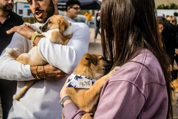 Tel Aviv, İsrail 2 Şubat 2024 SOS Hayvan Derneği 'nden yeni bir köpek sahibi yok edilmiş kibbutzlardan terk edilmiş köpeklerin evlat edinilmesi için Place Otage' da bir gün düzenliyor.
