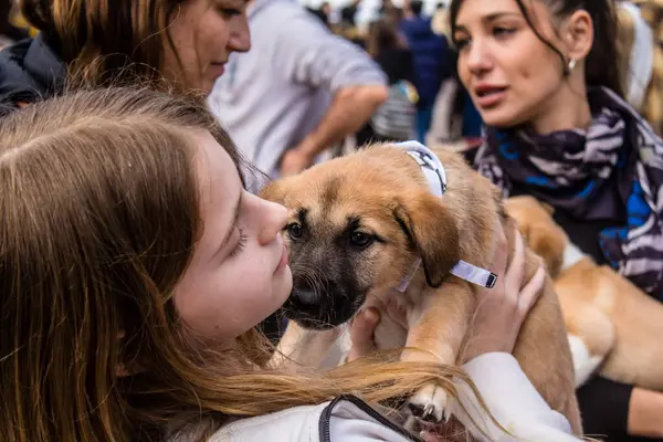 Tel Aviv, İsrail 2 Şubat 2024 SOS Hayvan Derneği 'nden yeni bir köpek sahibi yok edilmiş kibbutzlardan terk edilmiş köpeklerin evlat edinilmesi için Place Otage' da bir gün düzenliyor.
