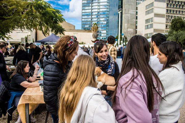 Tel Aviv, İsrail 2 Şubat 2024 SOS Hayvan Derneği 'nden yeni bir köpek sahibi yok edilmiş kibbutzlardan terk edilmiş köpeklerin evlat edinilmesi için Place Otage' da bir gün düzenliyor.