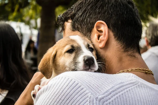 Tel Aviv, İsrail 2 Şubat 2024 SOS Hayvan Derneği 'nden yeni bir köpek sahibi yok edilmiş kibbutzlardan terk edilmiş köpeklerin evlat edinilmesi için Place Otage' da bir gün düzenliyor.