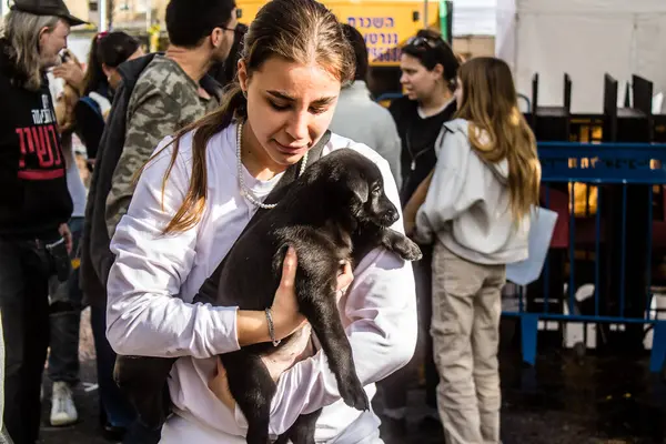 Tel Aviv, İsrail 2 Şubat 2024 SOS Animaux Derneği gönüllüleri Otage Meydanı 'nda yıkılmış kibbutzim' den terk edilmiş köpeklerin evlat edinilmesine adanmış bir gün organize ediyorlar.