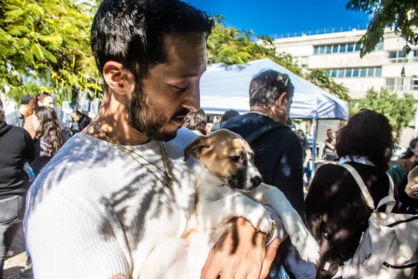 Tel Aviv, İsrail 2 Şubat 2024 SOS Animaux Derneği gönüllüleri Otage Meydanı 'nda yıkılmış kibbutzim' den terk edilmiş köpeklerin evlat edinilmesine adanmış bir gün organize ediyorlar.