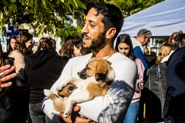 Tel Aviv, İsrail 2 Şubat 2024 SOS Animaux Derneği gönüllüleri Otage Meydanı 'nda yıkılmış kibbutzim' den terk edilmiş köpeklerin evlat edinilmesine adanmış bir gün organize ediyorlar.