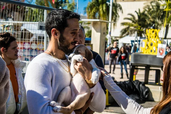 Tel Aviv, İsrail 2 Şubat 2024 SOS Animaux Derneği gönüllüleri Otage Meydanı 'nda yıkılmış kibbutzim' den terk edilmiş köpeklerin evlat edinilmesine adanmış bir gün organize ediyorlar.