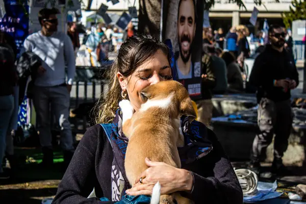 Tel Aviv, İsrail 2 Şubat 2024 SOS Animaux Derneği gönüllüleri Otage Meydanı 'nda yıkılmış kibbutzim' den terk edilmiş köpeklerin evlat edinilmesine adanmış bir gün organize ediyorlar.