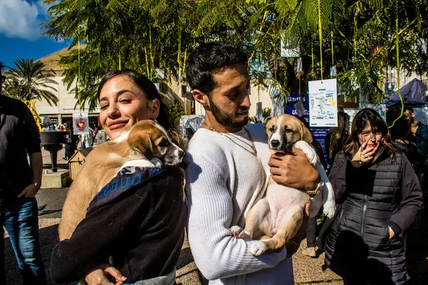 Tel Aviv, İsrail 2 Şubat 2024 SOS Animaux Derneği gönüllüleri Otage Meydanı 'nda yıkılmış kibbutzim' den terk edilmiş köpeklerin evlat edinilmesine adanmış bir gün organize ediyorlar.