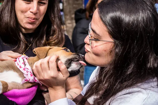 Tel Aviv, İsrail 2 Şubat 2024 SOS Animaux Derneği gönüllüleri Otage Meydanı 'nda yıkılmış kibbutzim' den terk edilmiş köpeklerin evlat edinilmesine adanmış bir gün organize ediyorlar.