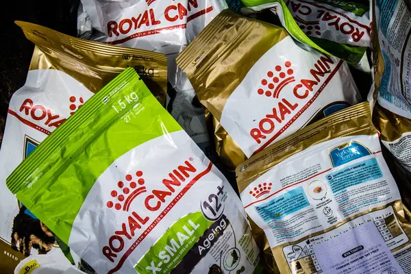 Tel Aviv, İsrail 2 Şubat 2024 SOS Hayvanları Derneği, Hamas terörist saldırısının ardından terk edilmiş köpeklerin evlat edinilmesine adanmış Otages Meydanı 'nda bir gün düzenledi.