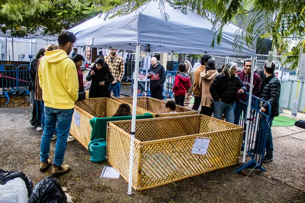 Tel Aviv, İsrail 2 Şubat 2024 SOS Hayvanları Derneği, Hamas terörist saldırısının ardından terk edilmiş köpeklerin evlat edinilmesine adanmış Otages Meydanı 'nda bir gün düzenledi.