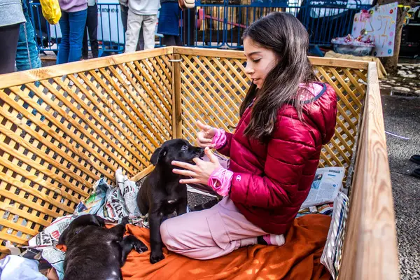 Tel Aviv, İsrail 2 Şubat 2024 SOS Hayvan Derneği 'nden gençler. Otage Meydanı' nda terk edilmiş köpeklerin yok edilmiş kibbutzlardan evlat edinilmesine adanmış bir gün düzenliyorlar.