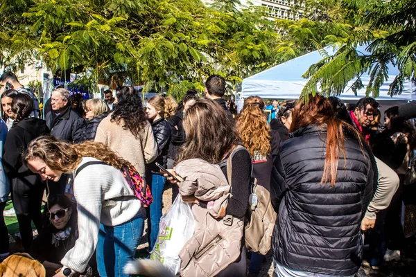 Tel Aviv, İsrail 2 Şubat 2024 SOS Hayvan Derneği 'nden gençler. Otage Meydanı' nda terk edilmiş köpeklerin yok edilmiş kibbutzlardan evlat edinilmesine adanmış bir gün düzenliyorlar.