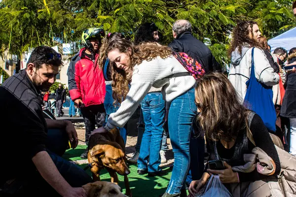 Tel Aviv, İsrail 2 Şubat 2024 SOS Hayvan Derneği 'nden gençler. Otage Meydanı' nda terk edilmiş köpeklerin yok edilmiş kibbutzlardan evlat edinilmesine adanmış bir gün düzenliyorlar.