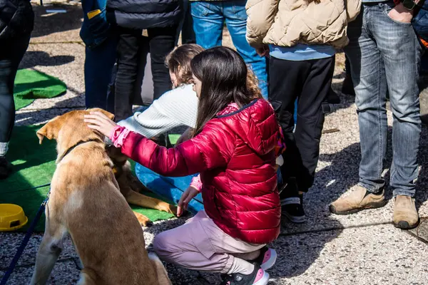 Tel Aviv, İsrail 2 Şubat 2024 SOS Hayvan Derneği 'nden gençler. Otage Meydanı' nda terk edilmiş köpeklerin yok edilmiş kibbutzlardan evlat edinilmesine adanmış bir gün düzenliyorlar.