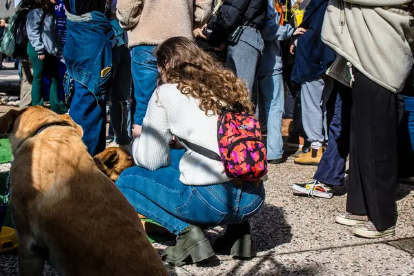 Tel Aviv, İsrail 2 Şubat 2024 SOS Hayvan Derneği 'nden gençler. Otage Meydanı' nda terk edilmiş köpeklerin yok edilmiş kibbutzlardan evlat edinilmesine adanmış bir gün düzenliyorlar.