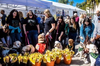 Tel Aviv, İsrail, 9 Şubat 2024 İsrail askeri Rehineler Meydanı 'nda köpeklerle savaşıyor. Savaşan köpekler kendi başlarına asker olarak kabul edilir ve savaş alanında çok önemli bir rol oynarlar..