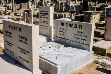 Tel Aviv, İsrail, 26 Şubat 2024 Trumpeldor Mezarlığı, Tel Aviv 'de bulunan tarihi bir mezarlıktır. Mezarlıkta yaklaşık 5000 mezar var.