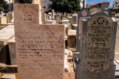 Tel Aviv, İsrail, 26 Şubat 2024 Trumpeldor Mezarlığı, Tel Aviv 'de bulunan tarihi bir mezarlıktır. Mezarlıkta yaklaşık 5000 mezar var.