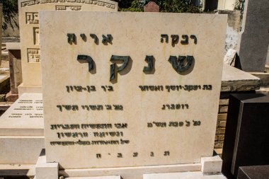 Tel Aviv, İsrail, 26 Şubat 2024 Trumpeldor Mezarlığı, Tel Aviv 'de bulunan tarihi bir mezarlıktır. Mezarlıkta yaklaşık 5000 mezar var.