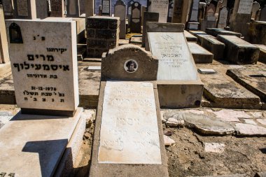 Tel Aviv, İsrail, 26 Şubat 2024 Trumpeldor Mezarlığı, Tel Aviv 'de bulunan tarihi bir mezarlıktır. Mezarlıkta yaklaşık 5000 mezar var.