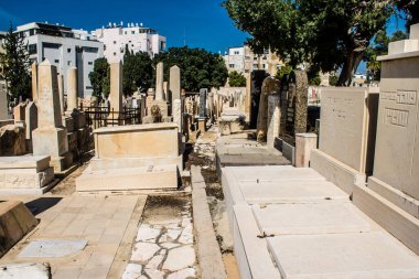 Tel Aviv, İsrail, 26 Şubat 2024 Trumpeldor Mezarlığı, Tel Aviv 'de bulunan tarihi bir mezarlıktır. Mezarlıkta yaklaşık 5000 mezar var.