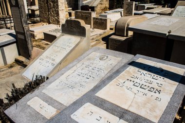 Tel Aviv, İsrail, 26 Şubat 2024 Trumpeldor Mezarlığı, Tel Aviv 'de bulunan tarihi bir mezarlıktır. Mezarlıkta yaklaşık 5000 mezar var.