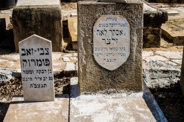 Tel Aviv, İsrail, 26 Şubat 2024 Trumpeldor Mezarlığı, Tel Aviv 'de bulunan tarihi bir mezarlıktır. Mezarlıkta yaklaşık 5000 mezar var.