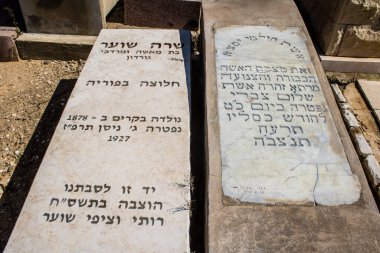 Tel Aviv, İsrail, 26 Şubat 2024 Trumpeldor Mezarlığı, Tel Aviv 'de bulunan tarihi bir mezarlıktır. Mezarlıkta yaklaşık 5000 mezar var.