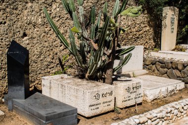 Tel Aviv, İsrail, 26 Şubat 2024 Trumpeldor Mezarlığı, Tel Aviv 'de bulunan tarihi bir mezarlıktır. Mezarlıkta yaklaşık 5000 mezar var.