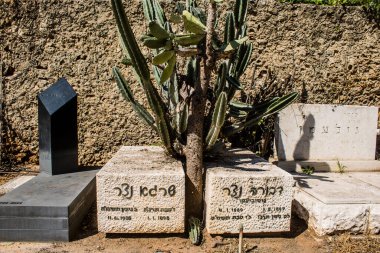 Tel Aviv, İsrail, 26 Şubat 2024 Trumpeldor Mezarlığı, Tel Aviv 'de bulunan tarihi bir mezarlıktır. Mezarlıkta yaklaşık 5000 mezar var.