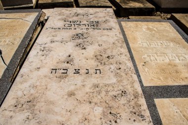 Tel Aviv, İsrail, 26 Şubat 2024 Trumpeldor Mezarlığı, Tel Aviv 'de bulunan tarihi bir mezarlıktır. Mezarlıkta yaklaşık 5000 mezar var.