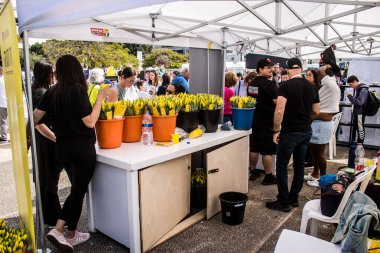 Tel Aviv, İsrail, 1 Mart 2024 Zer Tikva, Kadar Vakfı her eve bir buket sarı çiçek yerleştirmek için özel girişimlerde bulundu. Rehinelerin geri dönmesi için küresel bir çağrı anlamına geliyor.