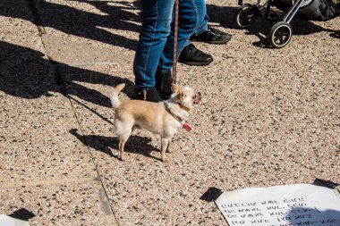Tel Aviv, İsrail, 1 Mart 2024 Ortodoks dindar İsrailliler, Gazze Şeridi 'nde Hamas tarafından kaçırılıp esir tutulanların anısına Tel Aviv Sanat Müzesi önünde toplandılar.