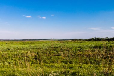 Kharkiv Oblastı, Ukrayna, 2 Haziran 2024 Ukrayna ve Rus silahlı kuvvetleri arasındaki gri bölgede. Bu tampon bölge tehlikeli ve bölgede öfke ile mücadele ediliyor..