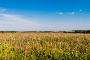 Kharkiv Oblastı, Ukrayna, 2 Haziran 2024 Ukrayna ve Rus silahlı kuvvetleri arasındaki gri bölgede. Bu tampon bölge tehlikeli ve bölgede öfke ile mücadele ediliyor..