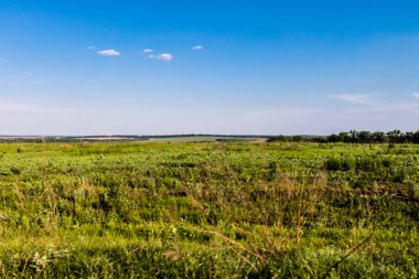 Kharkiv Oblastı, Ukrayna, 2 Haziran 2024 Ukrayna ve Rus silahlı kuvvetleri arasındaki gri bölgede. Bu tampon bölge tehlikeli ve bölgede öfke ile mücadele ediliyor..