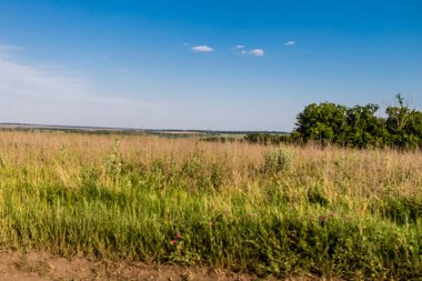Kharkiv Oblastı, Ukrayna, 2 Haziran 2024 Ukrayna ve Rus silahlı kuvvetleri arasındaki gri bölgede. Bu tampon bölge tehlikeli ve bölgede öfke ile mücadele ediliyor..