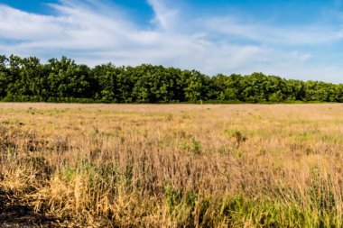 Kharkiv Oblastı, Ukrayna, 2 Haziran 2024 Ukrayna ve Rus silahlı kuvvetleri arasındaki gri bölgede. Bu tampon bölge tehlikeli ve bölgede öfke ile mücadele ediliyor..