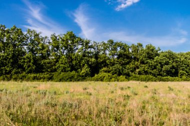Kharkiv Oblastı, Ukrayna, 2 Haziran 2024 Ukrayna ve Rus silahlı kuvvetleri arasındaki gri bölgede. Bu tampon bölge tehlikeli ve bölgede öfke ile mücadele ediliyor..