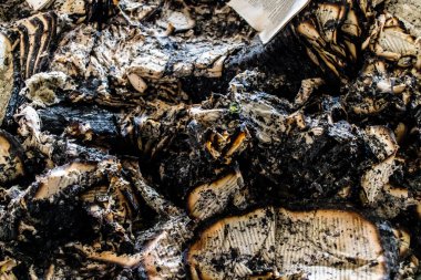 Kharkiv, Ukrayna, 4 Haziran 2024, yanmış kitaplara yakın. 23 Mayıs 'ta meydana gelen büyük bir Rus roket saldırısının ardından hasar gören Faktor-Druk matbaasında 50.000' den fazla kitap imha edildi..