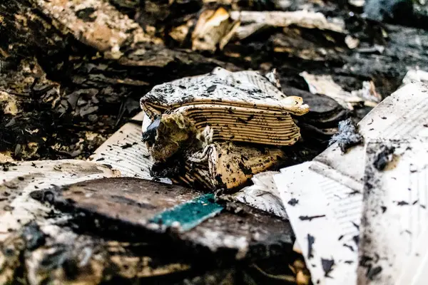 Kharkiv, Ukrayna, 4 Haziran 2024, yanmış kitaplara yakın. 23 Mayıs 'ta meydana gelen büyük bir Rus roket saldırısının ardından hasar gören Faktor-Druk matbaasında 50.000' den fazla kitap imha edildi..